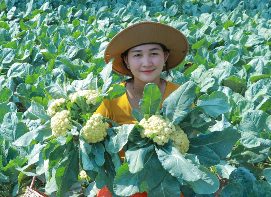 An Economic Analysis of Cauliflower Production in Selected Areas of Mymensingh District of Bangladesh